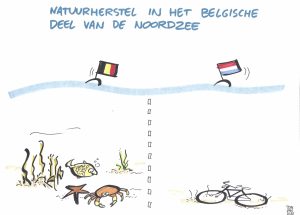 Live-cartooning voor FOD, België